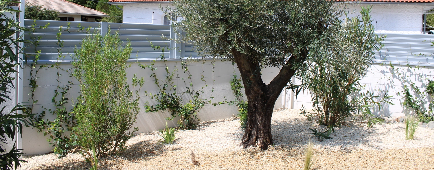 Massif Méditerranéen Négoplantes Négoplantes